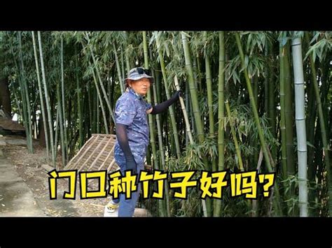 室內竹子|家裡可以種竹子嗎？ 室內種植竹子的方法和技術